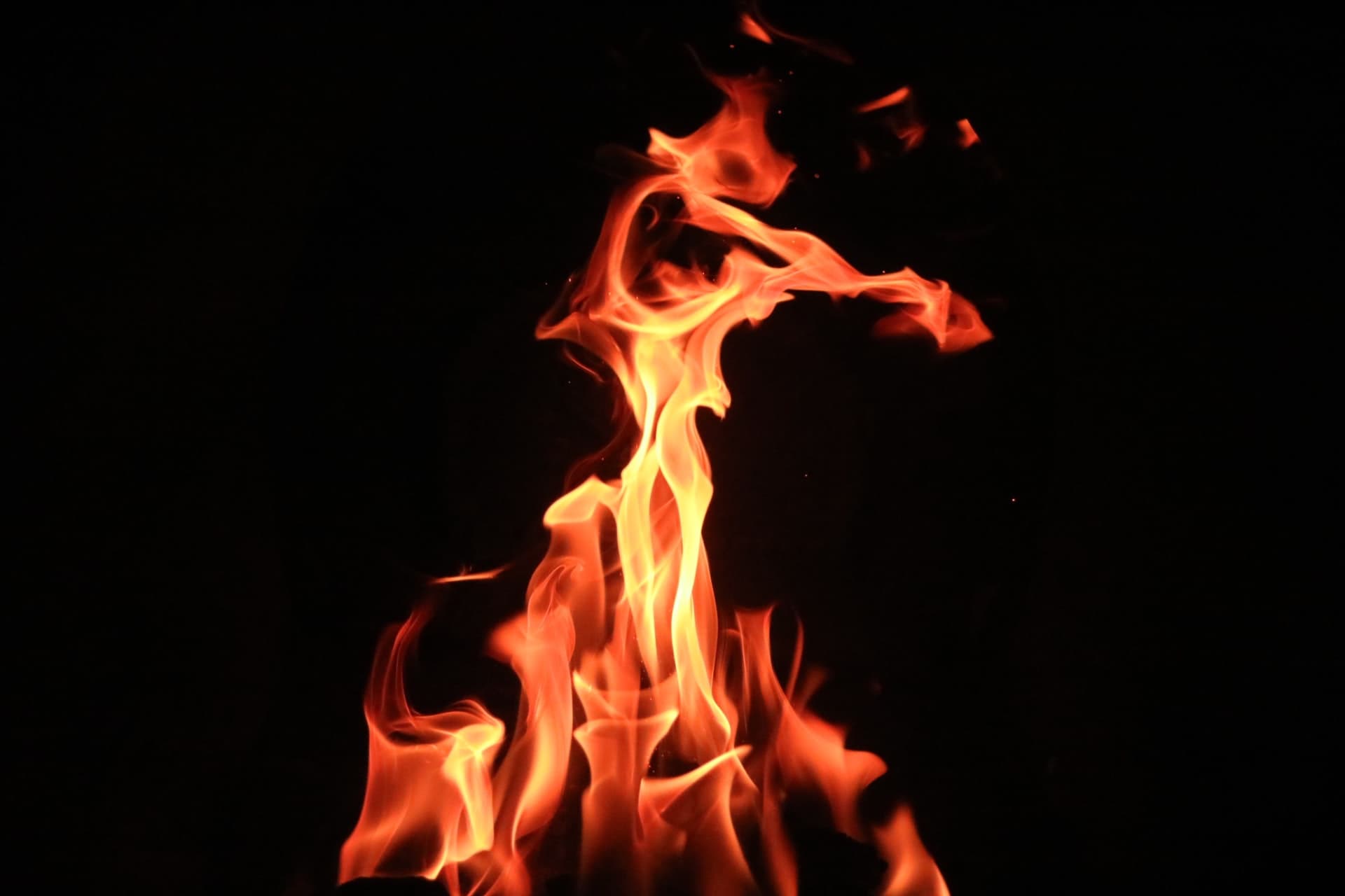 Cover Image for Going back to the start