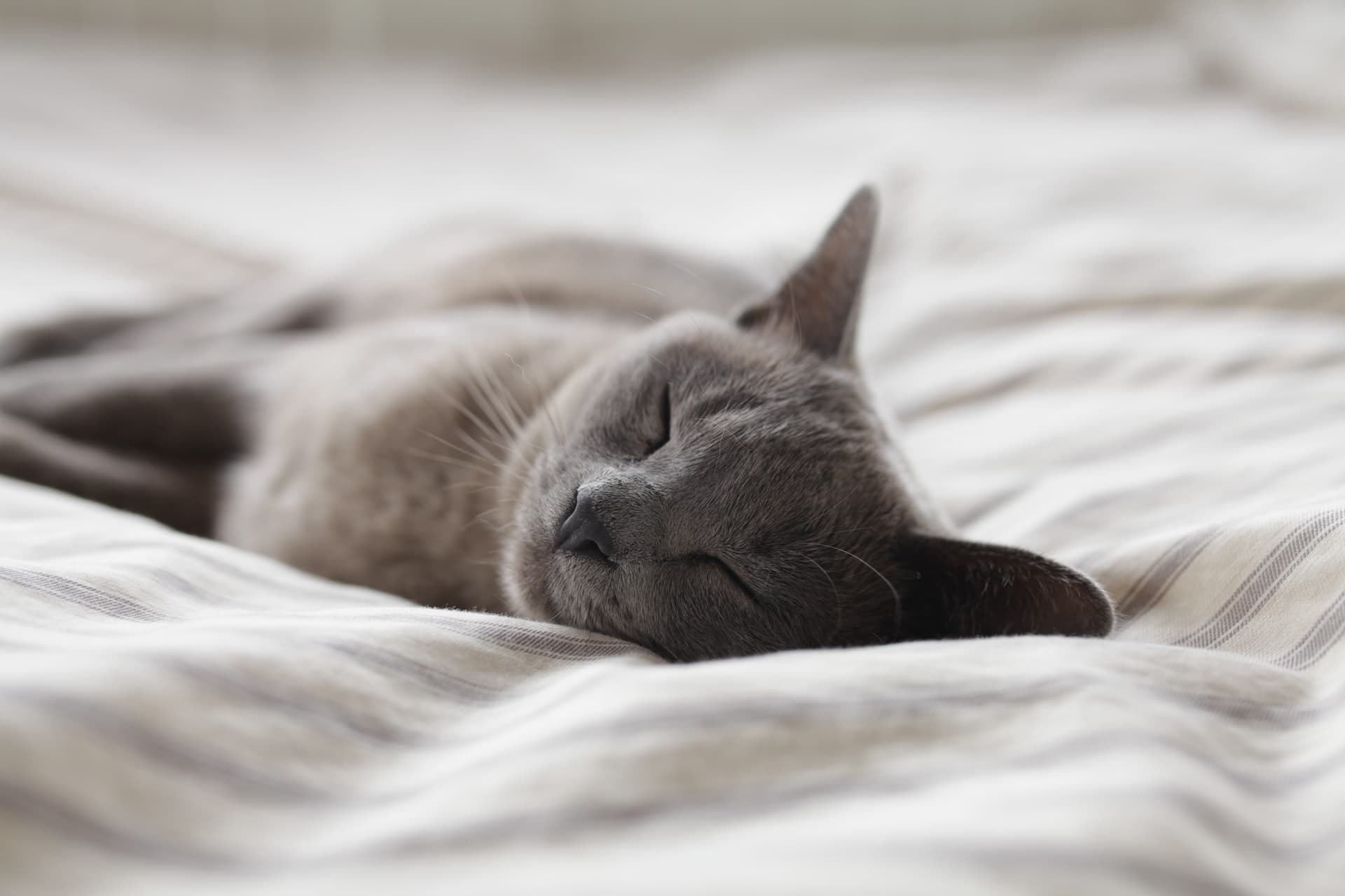 Cover Image for Quality of your sleep