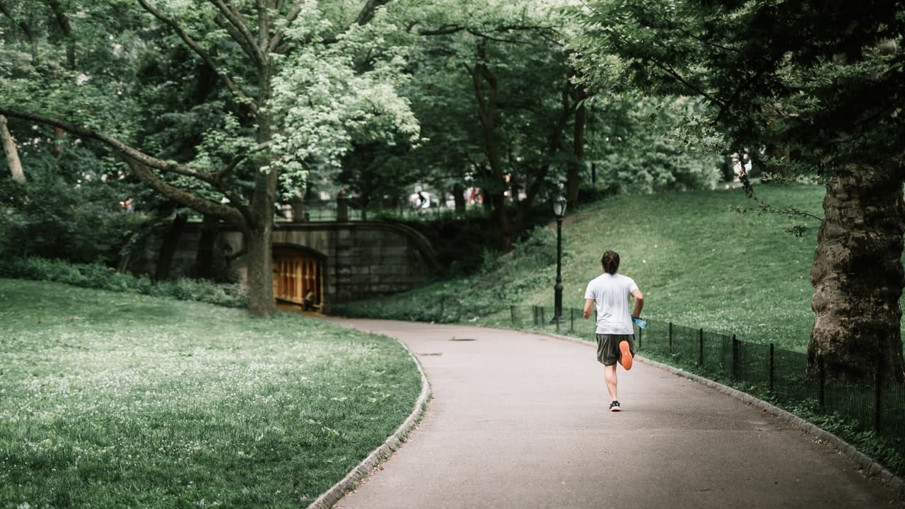 Cover Image for Who you run to